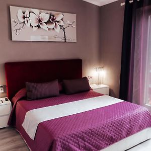 Deluxe Kamer met een King Size Bed